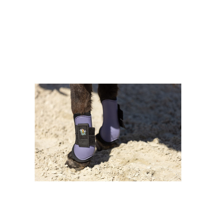 BR Mini Horse Tendon Boots