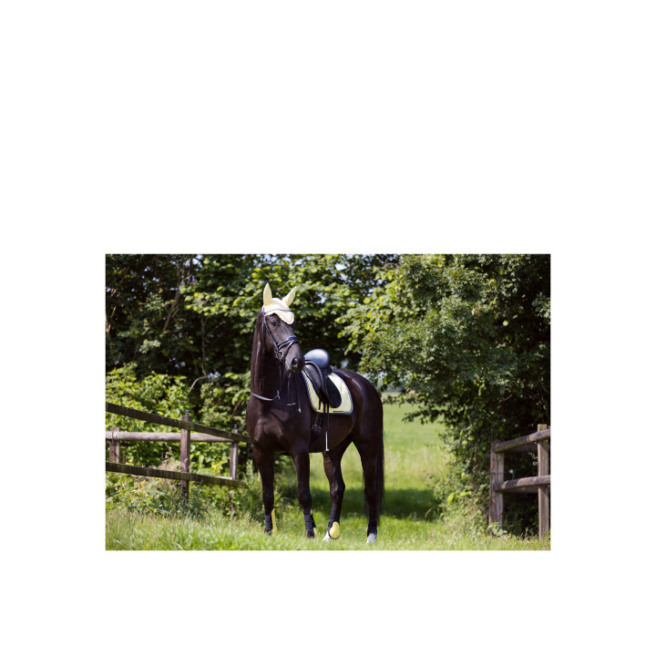 BR Event Fetlock Boots non-elastic