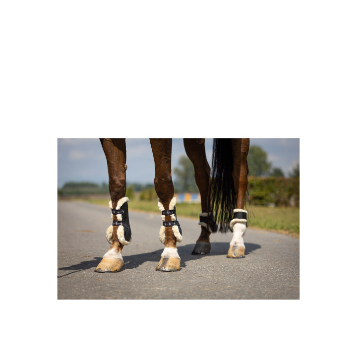 BR Fetlock Boots Urban Comfort
