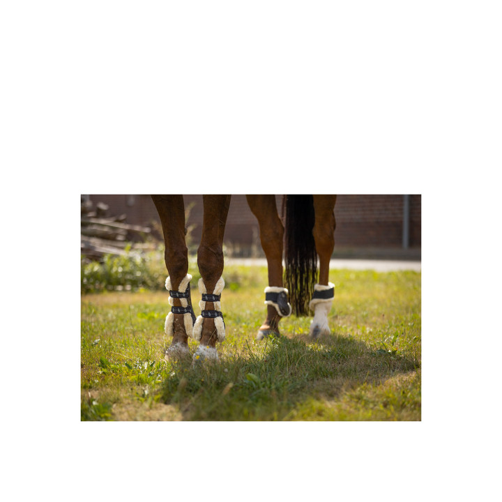 BR Fetlock Boots Urban Comfort