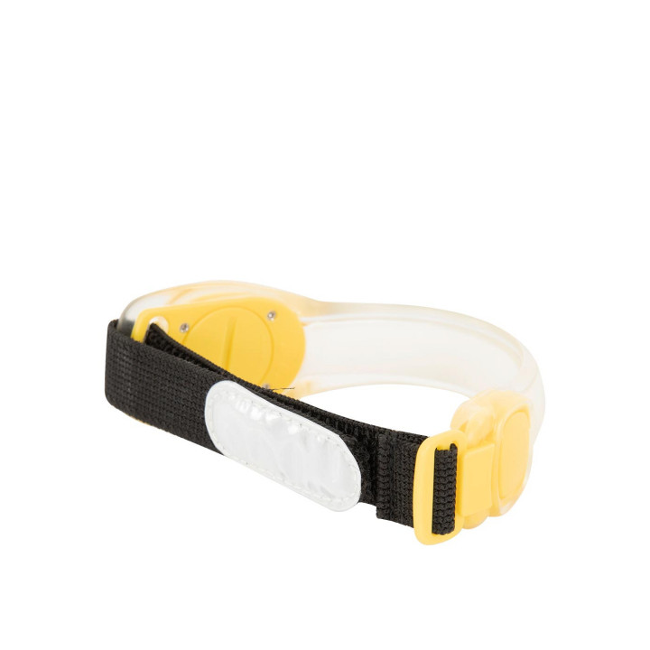 Premiere Safety Light