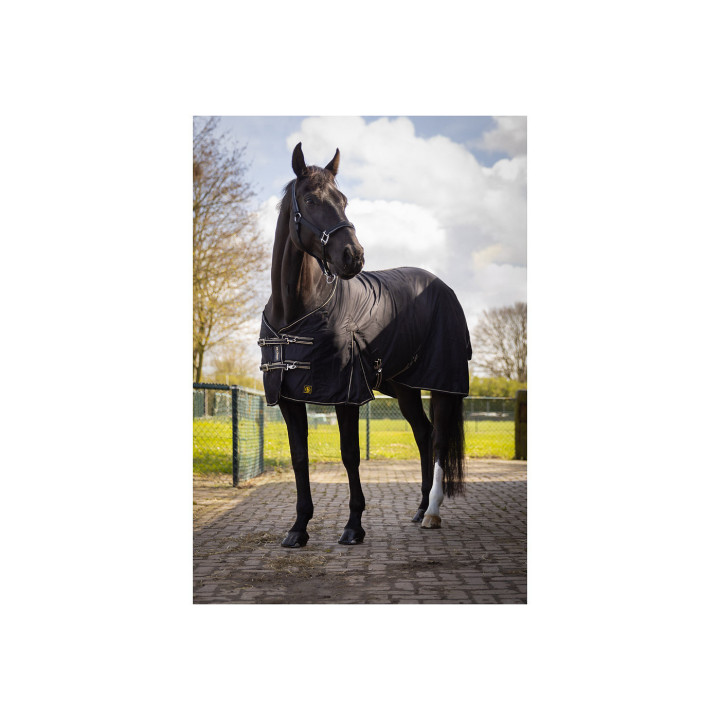 BR Rug Classic cotton