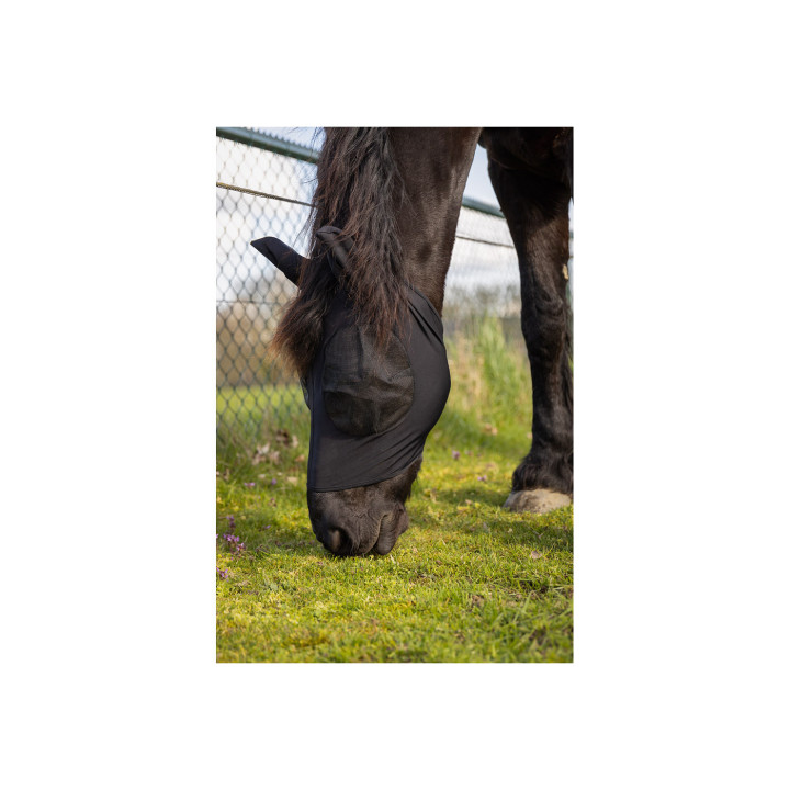 BR Fly Mask Guard