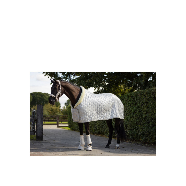 BR Show Rug Zamora C-Wear