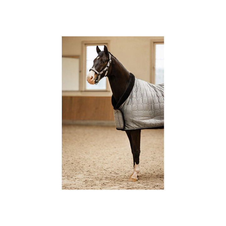 BR CLX Derka pokazowa