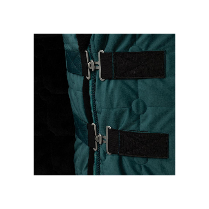 BR CLX Derka pokazowa