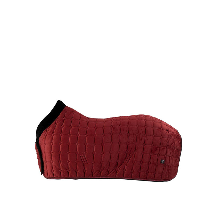 BR CLX Derka pokazowa