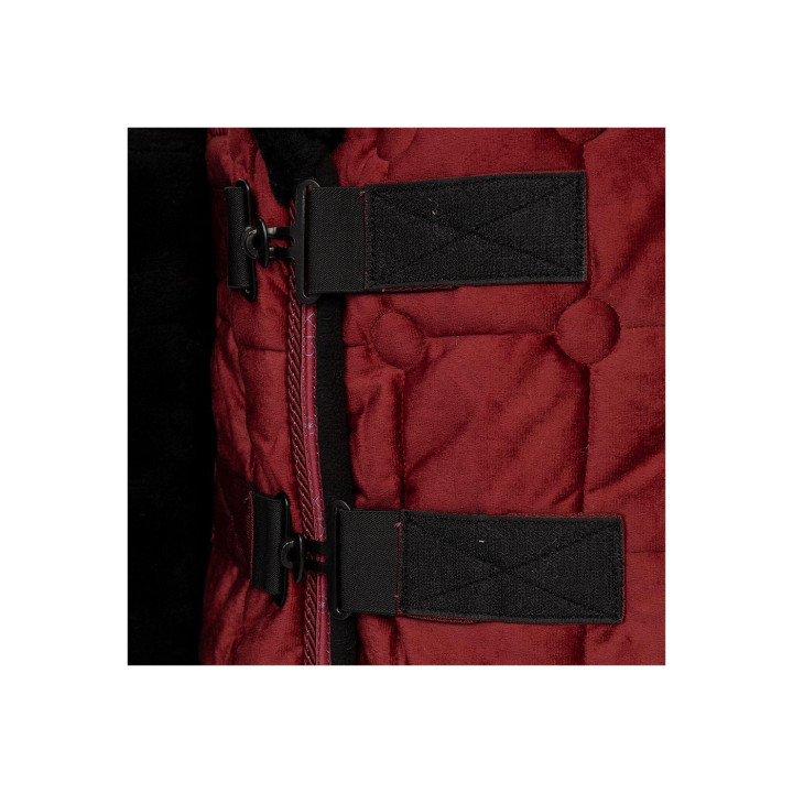 BR CLX Derka pokazowa