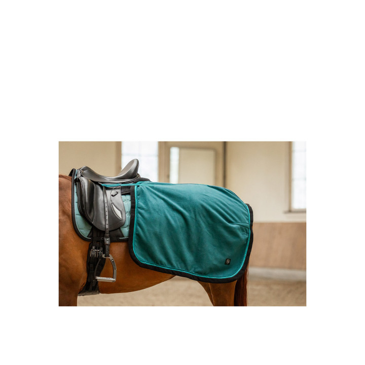 BR CLX Short Exercise Rug