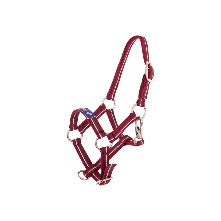 Premiere Foal Halter Fun