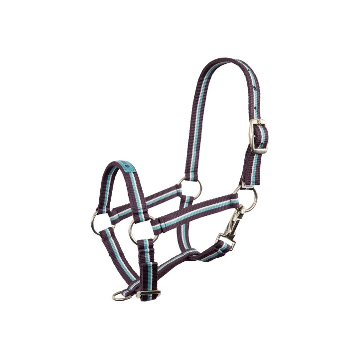 Premiere Foal Halter Fun