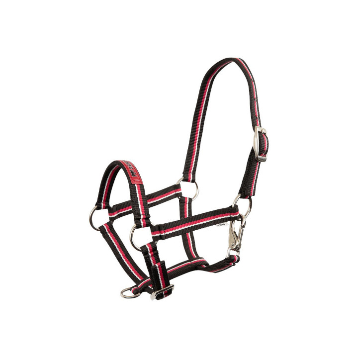 Premiere Foal Halter Fun