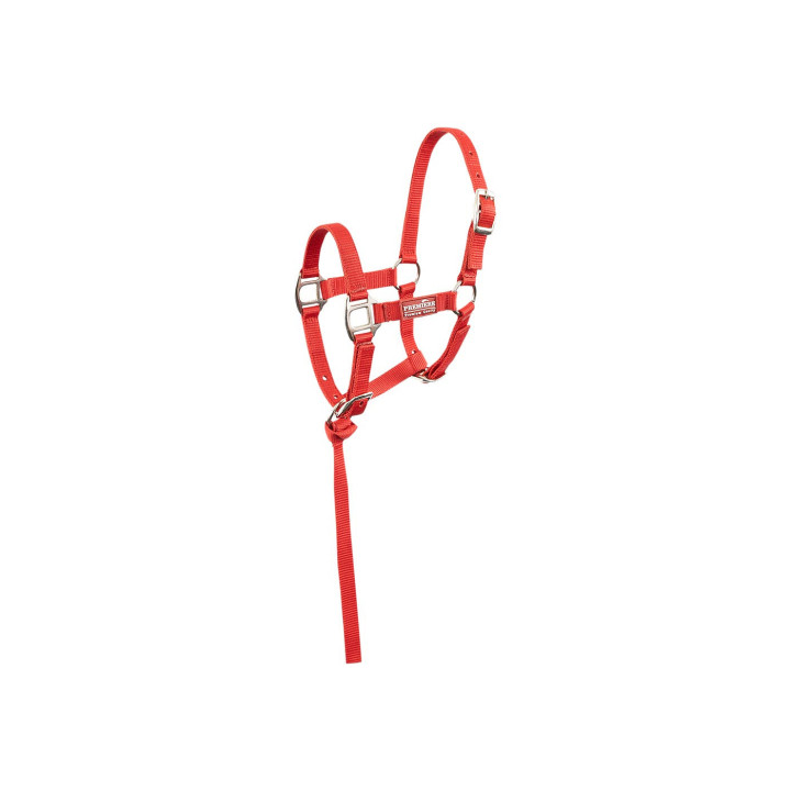 Premiere Foal Halter Brisk