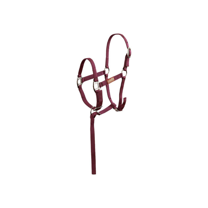 Premiere Foal Halter Brisk