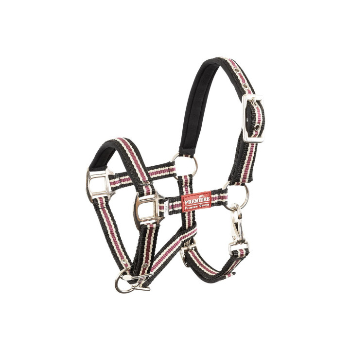 Premiere Foal Halter Vivid