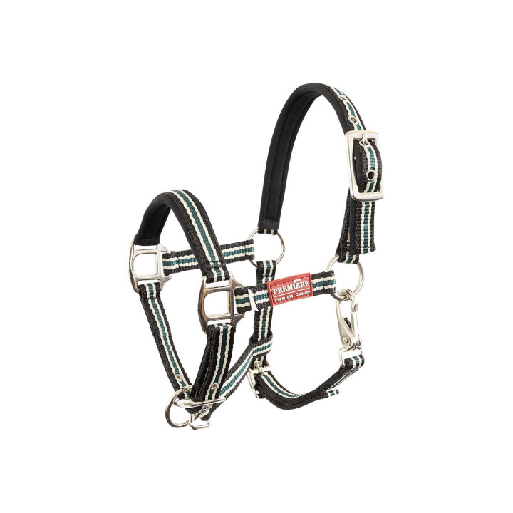 Premiere Foal Halter Vivid