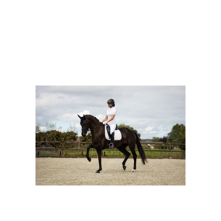 BR Saddle Pad Ivory Coast C-Wear Dressage
