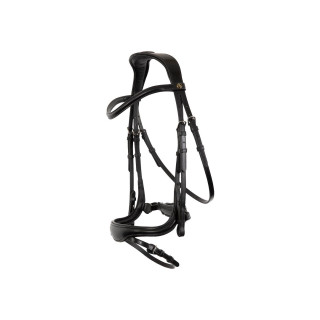 BR Bridle Longridge