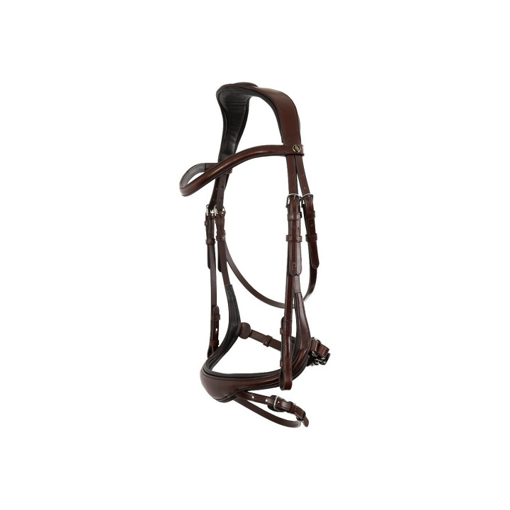 BR Bridle Longridge