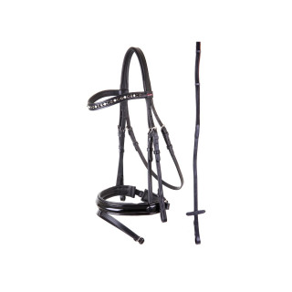 Premiere Bridle Grenoble