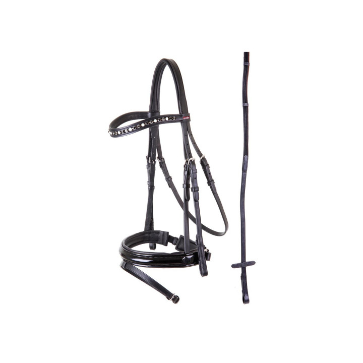 Premiere Bridle Grenoble