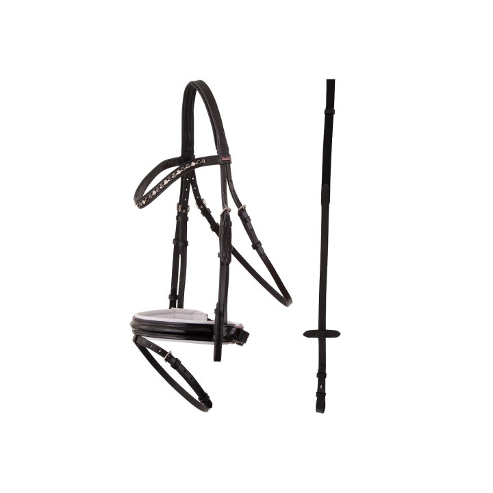 Premiere Bridle Grenoble