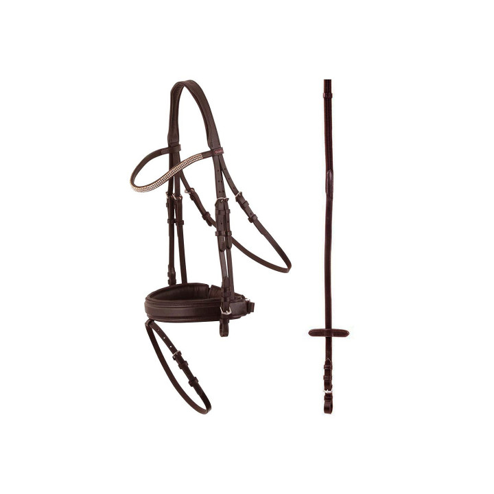 Premiere Bridle Dijon