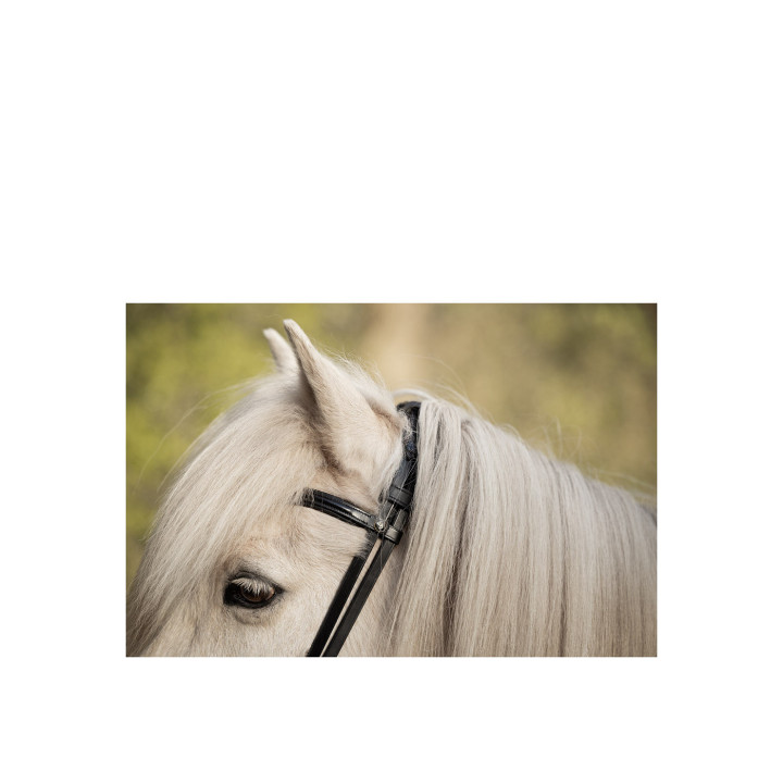 BR Icelandic Bridle Bourne