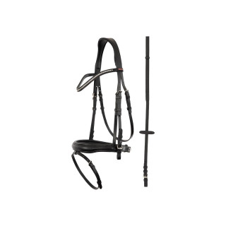 Premiere Bridle Fontaine