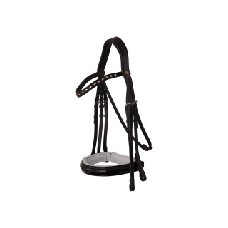 BR Weymouth Bridle Wendover