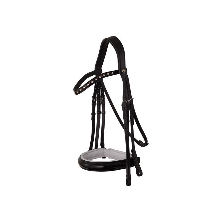 BR Weymouth Bridle Wendover