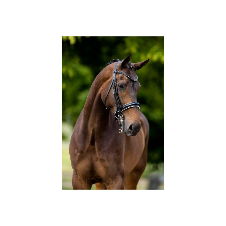 BR Weymouth Bridle Wendover