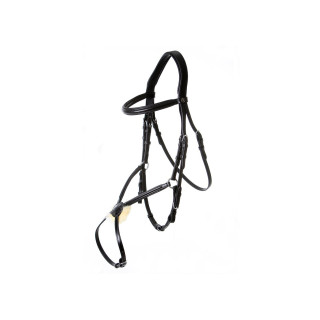 BR Grackle Bridle Grantham