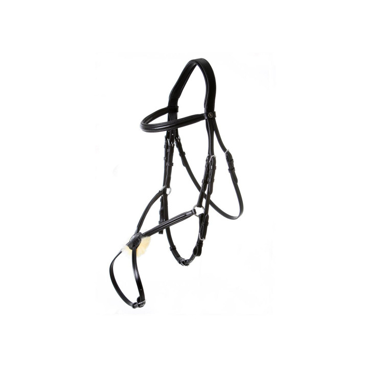 BR Grackle Bridle Grantham