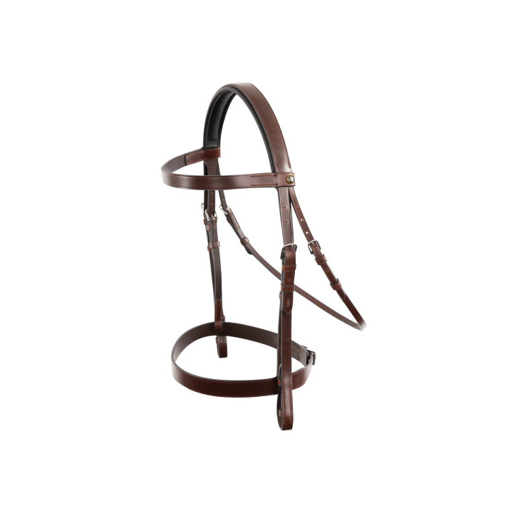 BR Hunter Bridle Kempston