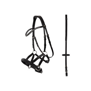 BR Bridle Lewes Side & Pull