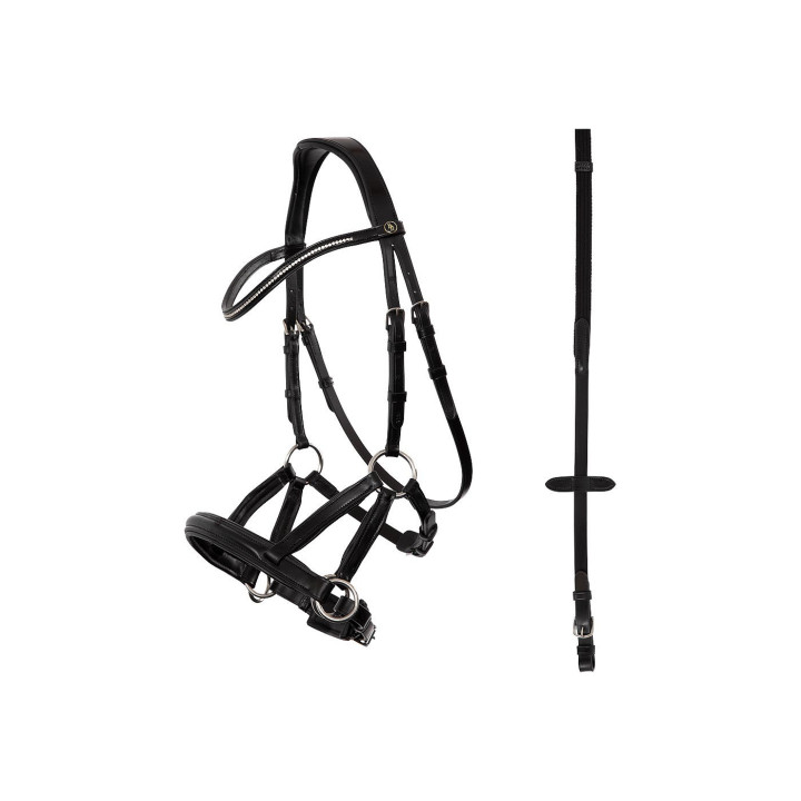 BR Bridle Lewes Side & Pull