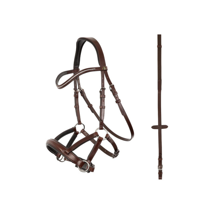 BR Ogłowie Lewes Side & Pull