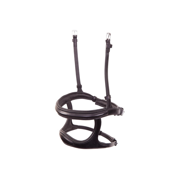 BR Double Noseband