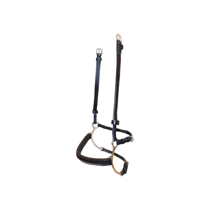 BR Combination Lever Noseband