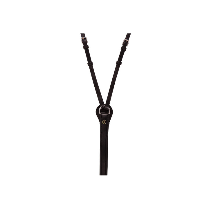 BR Market Harborough Lancaster bryczesy