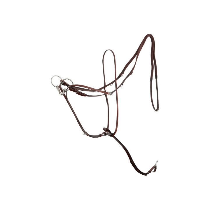 BR Market Harborough Lancaster bryczesy