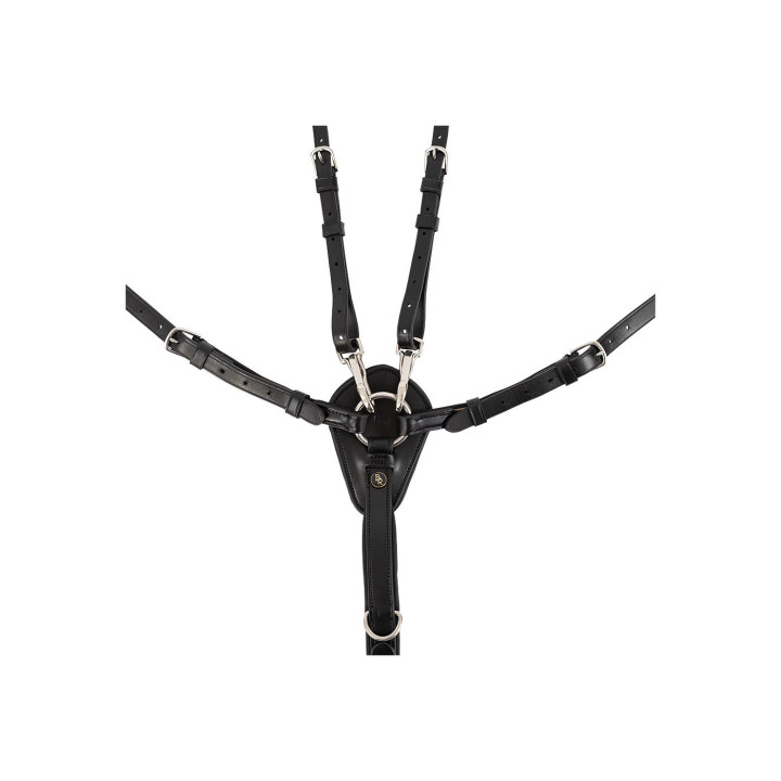 BR Breastplate Corsham