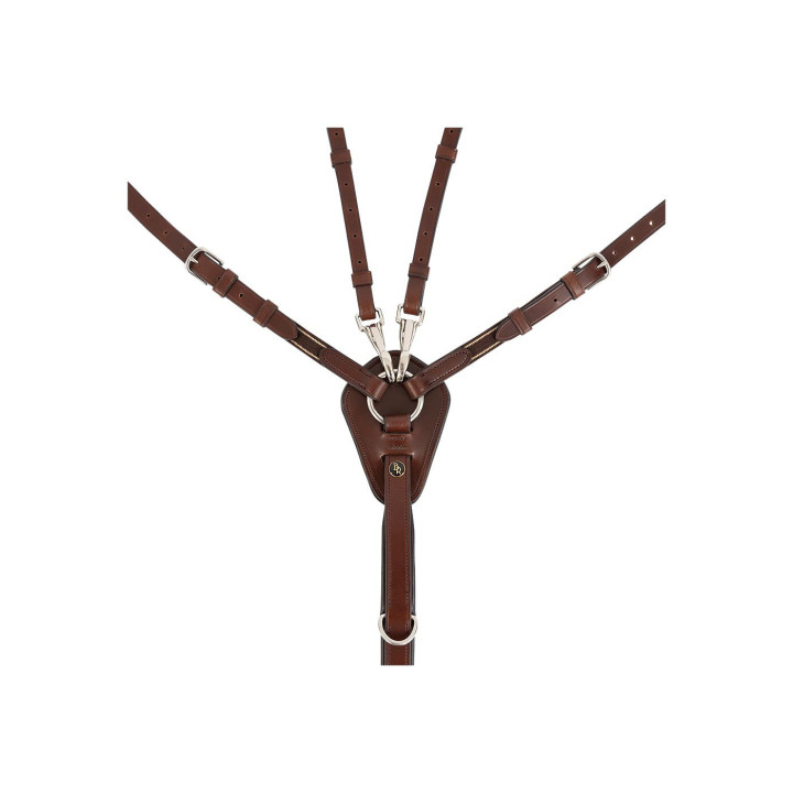 BR Breastplate Corsham