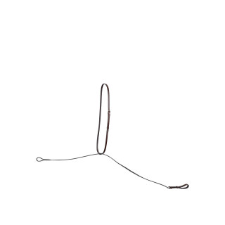 BR Standing Martingale Hinckly