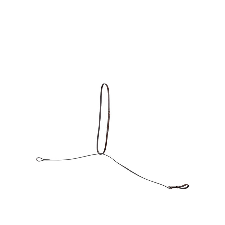 BR Standing Martingale Hinckly