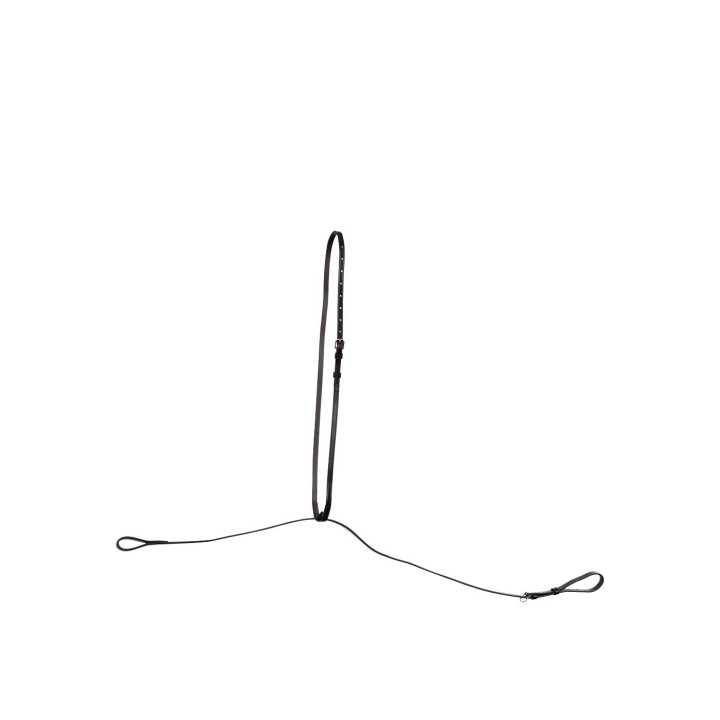 BR Standing Martingale Hinckly