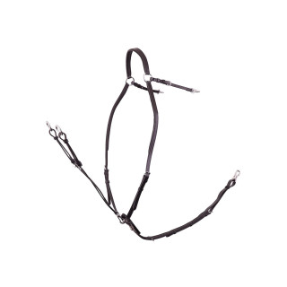 BR Breastplate Rayleigh