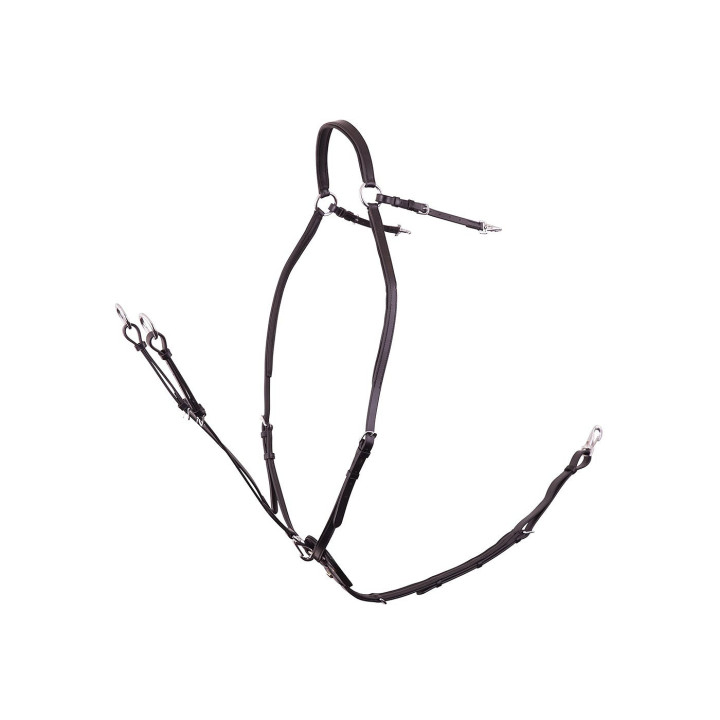 BR Napierśnik Rayleigh