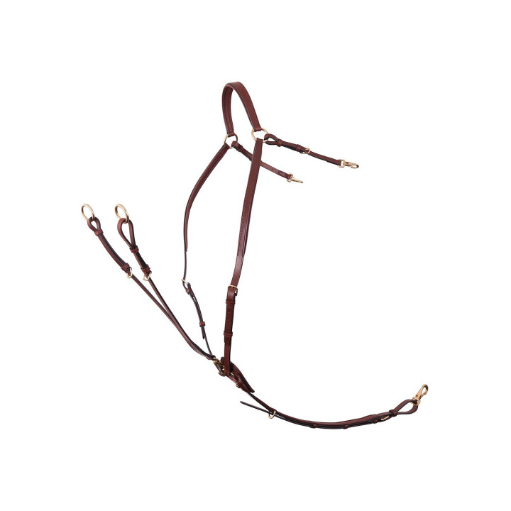 BR Breastplate Rayleigh